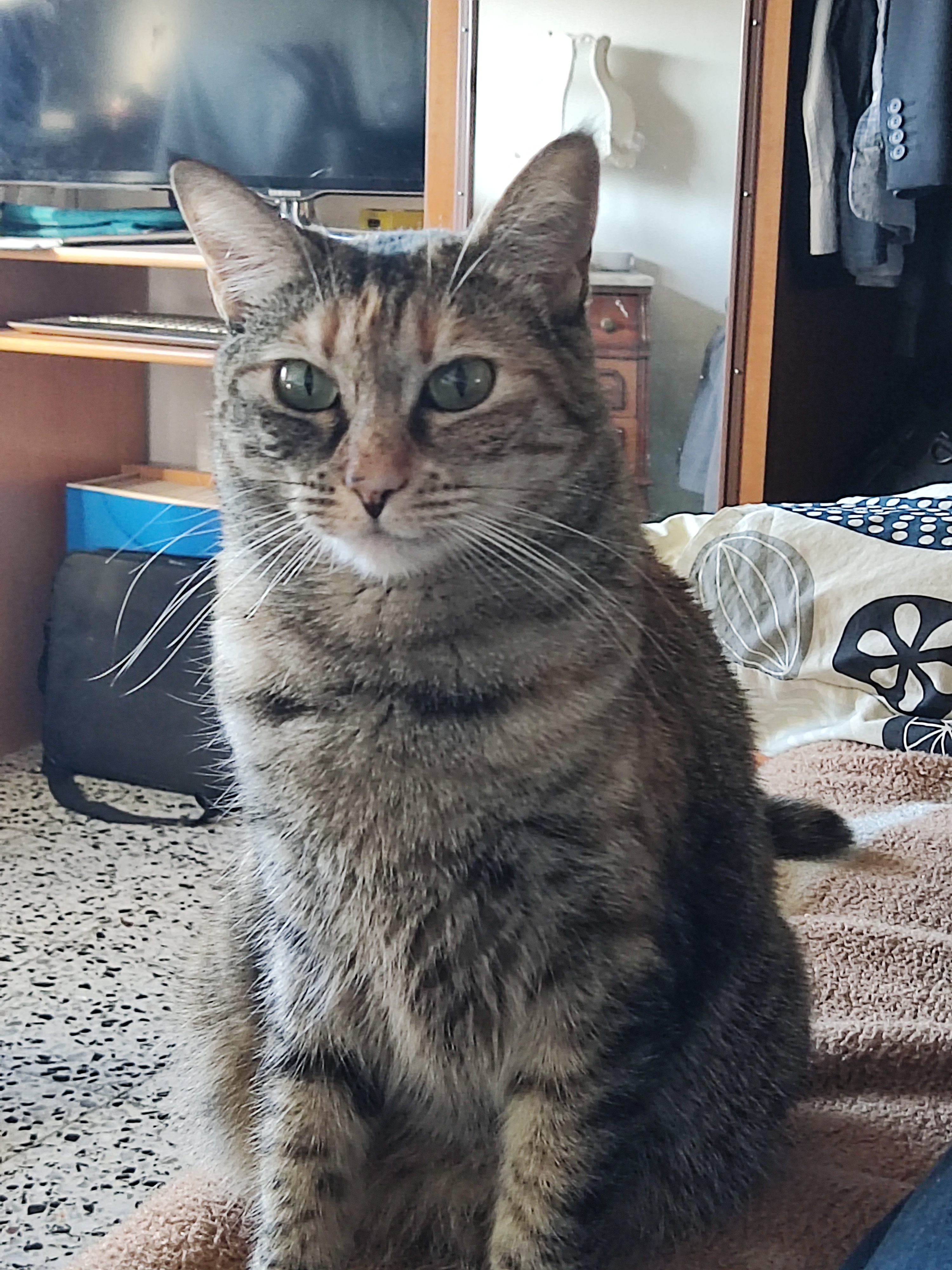Bella Bella